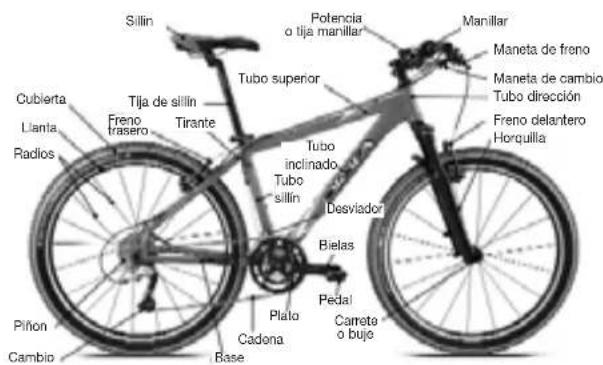 Sillin Cubierta Llanta Radios Tija de sillin Freno trasero Tirante Tubo superior Potencia o tija manillar Maneta de freno Maneta de cambio Tubo dirección Freno delantero Horquilla Tubo inclinado Tubo sillín Desviador Bielas Pilon Cambio Plato Cadona Base Pedal Cameto o bujo