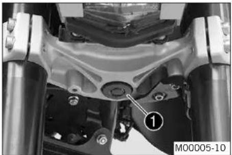 KTM 125 Duke EU (2014) - Indicación - 1