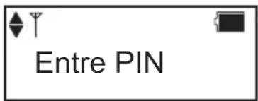 Entre PIN
