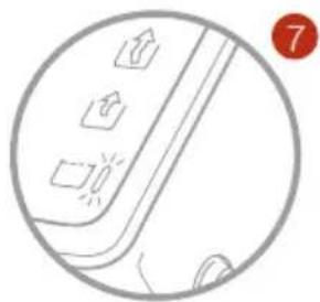 ALFA Split - ALFA® split - 1