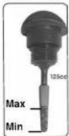 Rieju City Line 300 - Control nivel - 2