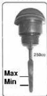 Rieju City Line 300 - Control nivel - 3