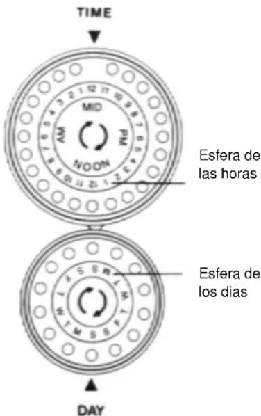 TIME MID AM NOON Pld Esfera de las horas Esfera de los días DAY