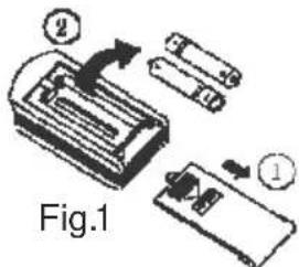 Fig.1
