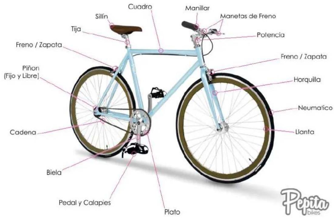 Sillín Cuadro Manillar Manetas de Freno Tija Potencia Freno / Zapata Freno / Zapata Horquilla Piñon (Fijo y Libre) Neumatico Cadena Llanta Biela Pedal y Calapies Plato Pepita bikes