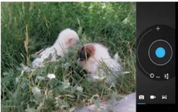 Two white chicks on green grass, one lying on the ground and the other in close proximity, with a camera lens interface visible on the right (no text or symbols on main subjects)