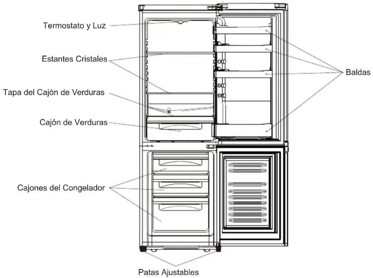 Termostato y Luz Estantes Cristales Tapa del Cajón de Verduras Cajón de Verduras Cajones del Congelador Baldas Patas Ajustables