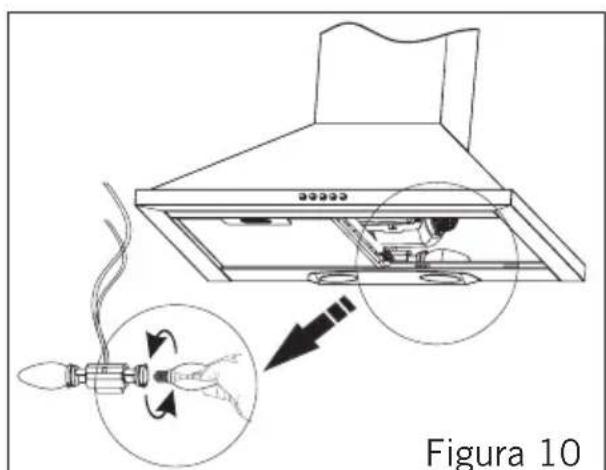 Figura 10