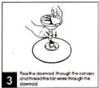 Pass the downrod through the canopy and thread the fan wires through the downrod.