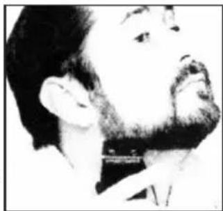 JATA MP525 - REVISION OF MUSTACHE - 1