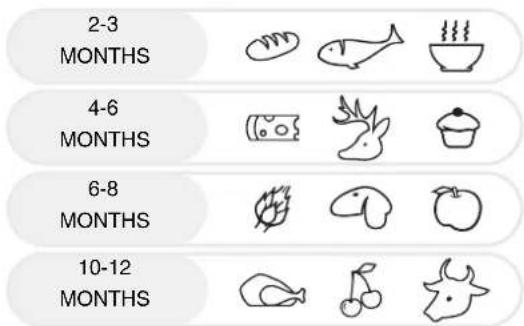 2-3 MONTHS 4-6 MONTHS 6-8 MONTHS 10-12 MONTHS