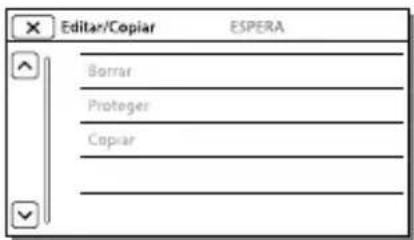 Editor/Copiar en espera Borrar Proteger Copiar
