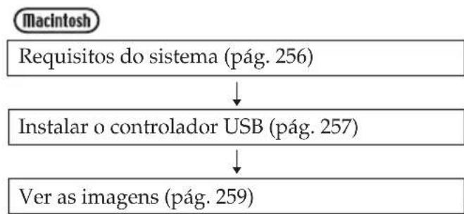 SONY CCD-TRV145E - Siga as instruções pela ordem descrita abaixo - 2