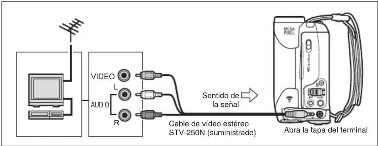 CANON MVX430 - Conexión - 1