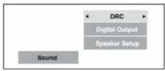 DRC Digital Output Speaker Setup Sound