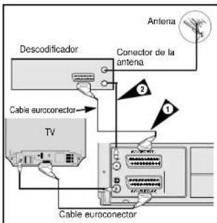 Descodificador Conector de la antena Cable euroconector TV Antena Cable euroconector