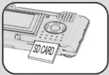 SD CARD
