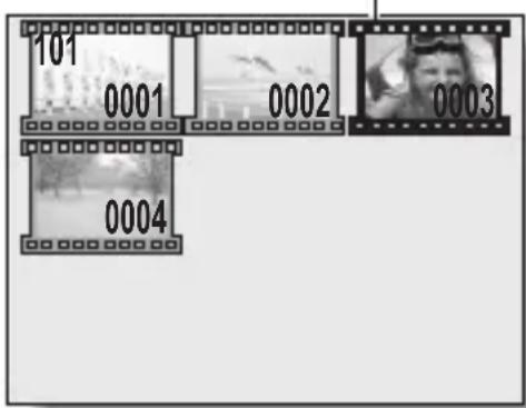 101 0001 0002 0003 0004