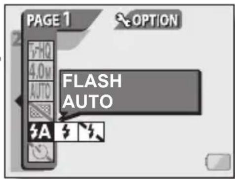 PAGE 1 OPTION FLASH AUTO A