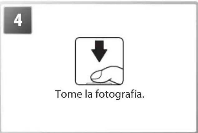 4 Tome la fotografía.