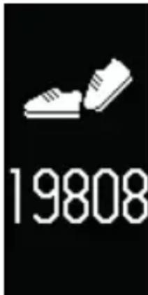 19808