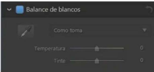 Balance de blancos Como toma Temperatura ———— 0 Tinte ———— 0