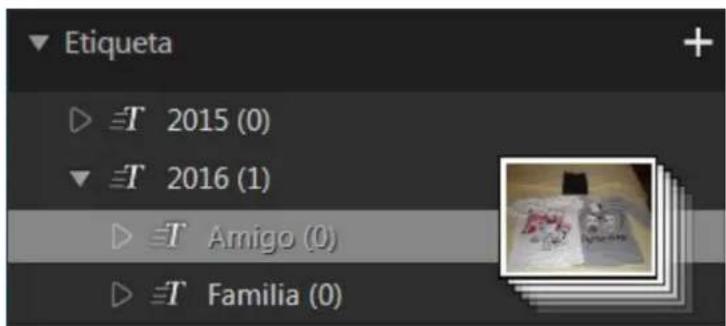 Etiqueta ► ≡T 2015 (0) ► ≡T 2016 (1) ► ≡T Amigo (0) ► ≡T Familia (0)