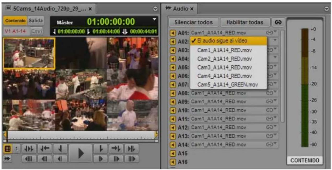 5Cams_14Audio_720p_29_... Contenido Salida Máster 01:00:00:00 V1 A1-14 Envj 01:00:00:00 01:00:44:00 00:00:44:01 Audio x Silenciar todos Habilitar todas A01: Cam1_A1A14_RED.mov A02: ✓ El audio sigue al vídeo A03: Cam1_A1A14_RED.mov A04: Cam2_A1A14_RED.mov A05: Cam3_A1A14_RED.mov A06: Cam4_A1A14_RED.mov A07: Cam5_A1A14_GREEN.mov A08: Cam1_A1A14_RED.mov A09: Cam1_A1A14_RED.mov A10: Cam1_A1A14_RED.mov A11: Cam1_A1A14_RED.mov A12: Cam1_A1A14_RED.mov A13: Cam1_A1A14_RED.mov A14: Cam1_A1A14_RED.mov A15 A16 CONTENIDO