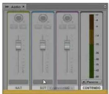 Audio NAT SOT CONTENIDO CONTENDO Paramo