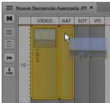 Nueva Secuencia Avanzada .01 VIDEO NAT SOT VO LION