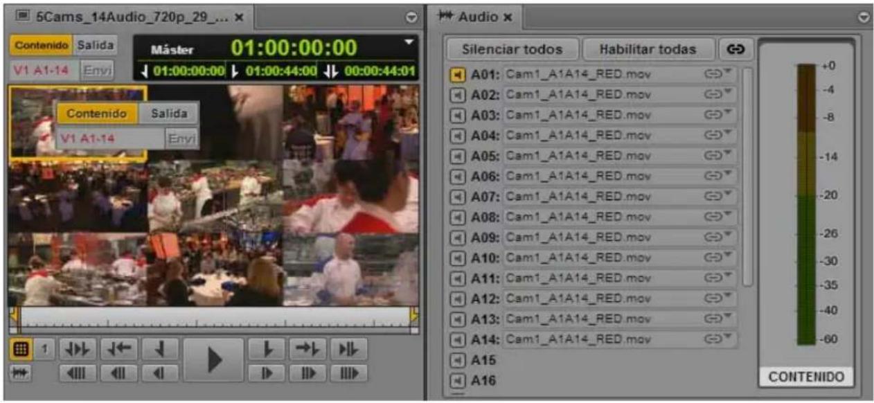 5Cams_14Audio_720p_29... Contenido Salida V1 A1-14 Envi 01:00:00:00 01:00:00:00 01:00:44:00 00:00:44:01 Contenido Salida V1 A1-14 Envi Audio Silenciar todos Habilitar todas A01: Cam1_A1A14_RED.mov A02: Cam1_A1A14_RED.mov A03: Cam1_A1A14_RED.mov A04: Cam1_A1A14_RED.mov A05: Cam1_A1A14_RED.mov A06: Cam1_A1A14_RED.mov A07: Cam1_A1A14_RED.mov A08: Cam1_A1A14_RED.mov A09: Cam1_A1A14_RED.mov A10: Cam1_A1A14_RED.mov A11: Cam1_A1A14_RED.mov A12: Cam1_A1A14_RED.mov A13: Cam1_A1A14_RED.mov A14: Cam1_A1A14_RED.mov A15 A16 CONTENIDO