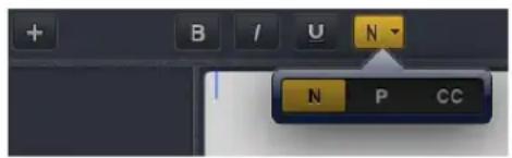 + B / U N N P CC