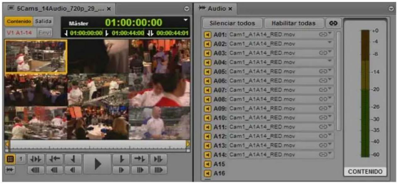 5Cams_14Audio_720p_29_... Contenido Salida Máster 01:00:00:00 V1 A1-14 Envi 01:00:00:00 01:00:44:00 00:00:44:01 Audio x Silenciar todos Habilitar todas A01: Cam1_A1A14_RED.mov A02: Cam1_A1A14_RED.mov A03: Cam1_A1A14_RED.mov A04: Cam1_A1A14_RED.mov A05: Cam1_A1A14_RED.mov A06: Cam1_A1A14_RED.mov A07: Cam1_A1A14_RED.mov A08: Cam1_A1A14_RED.mov A09: Cam1_A1A14_RED.mov A10: Cam1_A1A14_RED.mov A11: Cam1_A1A14_RED.mov A12: Cam1_A1A14_RED.mov A13: Cam1_A1A14_RED.mov A14: Cam1_A1A14_RED.mov A15 A16 CONTENIDO