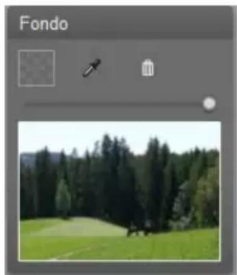 Avid Studio 14 - El Panel de fondo - 1