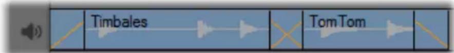 Timbales Tom Tom