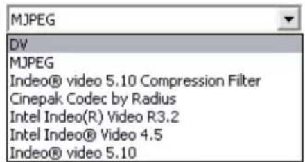 MJPEG DV MJPEG Indeo® video 5.10 Compression Filter Cinepak Codec by Radius Intel Indeo(R) Video R3.2 Intel Indeo® Video 4.5 Indeo® video 5.10