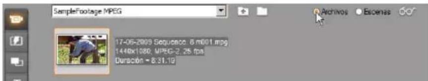 SampleFootage MPEG Archivos Escenas 17-06-2009 Sequencio. 8 m001 mpg 1440x1080, MPEG-2, 25 fps Duración - 8:31.19