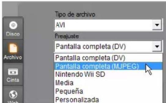 Tipo de archivo AVI Preajuste Pantalla completa (DV) Pantalla completa (DV) Pantalla completa (MJPEG) Nintendo Wii SD Media Pequeña Personalizada
