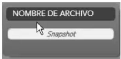 NOMBRE DE ARCHIVO Snapshot