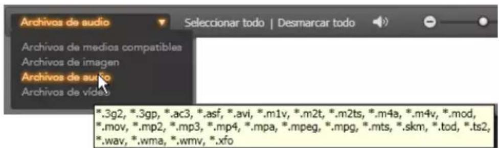 Archivos de audio Archivos de medios compatibles Archivos de imagen Archivos de audio Archivos de video *.3g2, *.3gp, *.ac3, *.asf, *.avi, *.m1v, *.m2t, *.m2ts, *.m4a, *.m4v, *.mod, *.mov, *.mp2, *.mp3, *.mp4, *.mpa, *.mpeg, *.mpg, *.mts, *.skm, *.tod, *.ts2, *.wav, *.wma, *.wmv, *.xfo