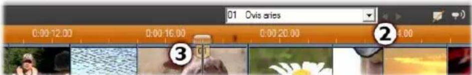 01 Ovis aries 0:00:12.00 0:00:16.00 0:00:20.00 4:00 ② 3