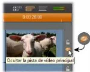 0:00 26:00 Ocultar la pista de vídeo principal