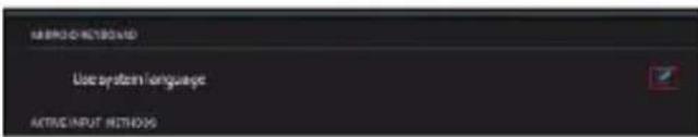USE SYSTEM LANGUAGE ACTIVE INPUT WINDOW