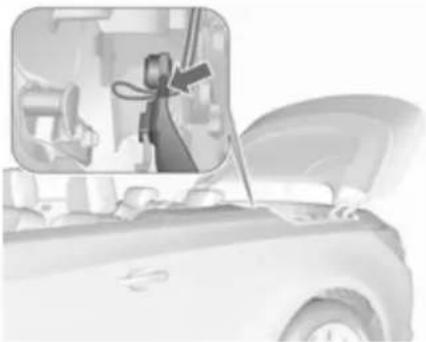 OPEL Cabrio (2018) - Llaves, puertas y ventanillas 41 - 1
