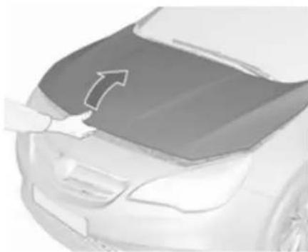 OPEL Cabrio (2018) - Capó - 2