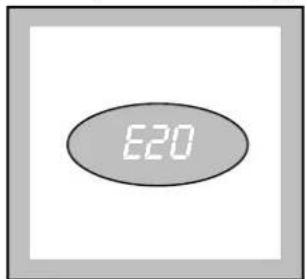 E20