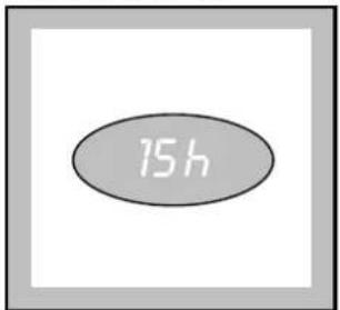 15 h