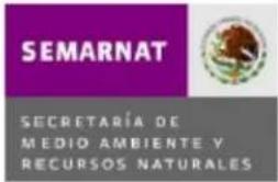 Steren SCREENKLIN - SECCION 15: INFORMACION REGULATORIA. - 3