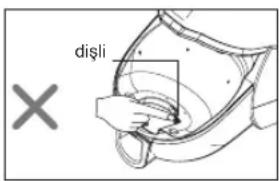 disli X