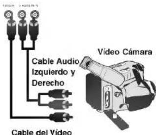 Cable Audio Izquierdo y Derecho Cable del Video Video Cámara